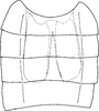 Abdomen, sternal apodemes, ventral view on Aguriahana adusta Chiang, Hsu & Knight, 1989: Abdomen, sternal apodemes, ventral view. (Observation).