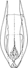 Aedeagus, ventral view on Empoascanara (Empoascanara) mai Dworakowska, 1992: Aedeagus, ventral view. (Observation).