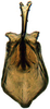 Aedeagus, ventral view: Hypacostemma viridissima, aedeagus, dorsally (PPRI). (Observation).