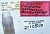 CollectionObject 1527093; fc4e2767-a738-4726-a993-84b6daf1bb14: labels (holotype). (CollectionObject).
