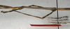 CollectionObject 1557023; 3e246dcd-19b8-4fed-a635-0601b26217dc: copyright NMW, Vienna. male of synonym Calynda brocki: head and thorax, lateral view (holotype). (CollectionObject).