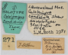CollectionObject 1613728; d68806a0-4e78-4751-883c-597140c7e711: (CollectionObject).