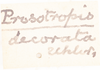 Other: !! display not done !! on Prosotropis decorata Uhler, 1895: (Observation).