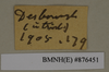 CollectionObject 1572973; 4a43a321-51e3-4cb9-917a-b3e9890f6fa2: Copyright Natural History Museum, London. Labels from non-type (adult female) in BM(NH). (CollectionObject).