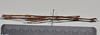 CollectionObject 1558564; 3ae685c8-f1c6-4bd0-85f7-d0b8fa72a781: copyright NTUC. male, lateral view (syntype). (CollectionObject).;CollectionObject 1558565; b09dd22e-7f33-4771-b1d9-24d893a97422: copyright NTUC. male, lateral view (syntype). (CollectionObject).