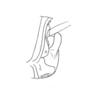 Ceuthophilus (Hemiudeopsylla) hesperus transitans Hubbell, 1936: Fig. 572. male abdomen tip. (Otu).