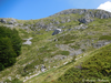 CollectionObject 1591387; 3aadce59-b0ec-4130-9781-dc3db9a38de0: habitat (North Macedonia: Galichica Mts., Magaro peak). (CollectionObject).