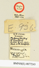 CollectionObject 1518509; 542d7855-99ef-4081-a0fd-4b7f1008ca56: labels (holotype). (CollectionObject).