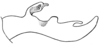 Anaulacomera (Cervicercora) hirsuta Hebard, 1927: Pl. XIX, Fig. 15 (after type). male left cercus, lateral view. (Otu).