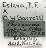 CollectionObject 1523942; c8f05f97-f831-4873-9eb7-e846c005a086: Image C.S. Carbonell. labels (holotype). (CollectionObject).