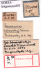 CollectionObject 1530818; b16260e6-7d4b-4b0d-be6c-d8d22e1eea59: labels (syntype). (CollectionObject).