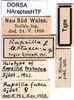 CollectionObject 1507069; c148751f-5ae6-42bf-a0cd-2bf2571b8047: labels (holotype of Rapsilla testacea). (CollectionObject).