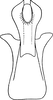 Aedeagus, ventral view: !! display not done !! on Turrutus socialis (Flor, 1861): Aedeagus, ventral view. (Observation).