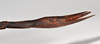 CollectionObject 1558568; NTUC 732, c9758454-56c2-43fd-92c2-00b2d31b54ab: copyright NTUC. female: end of abdomen, lateral view (holotype). (CollectionObject).