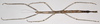 CollectionObject 1563484; 1c50b8bd-9354-47c4-b200-7ba4bb66c162: copyright Natural History Museum, London. female (holotype). (CollectionObject).