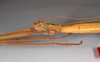 CollectionObject 1563527; 2846a930-93b0-4f85-90ad-10e5e80bb43b: copyright ZMHB, Berlin. female: head & thorax, lateral view (holotype). (CollectionObject).