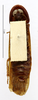 Cyrtotria gracilis (Burmeister, 1838): CC BY-NC-ND 4.0/MNHN - Depraetere Marion - 2014. Type, male, of duchaillui Rehn, 1937. Specimen number: MNHN-EP-EP1021. http://coldb.mnhn.fr/catalognumber/mnhn/ep/ep1021. (Otu).