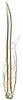 Aedeagus, ventral view: Aedeagus, ventral view. (Observation).