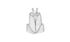 Miacris rubriventris Descamps, 1981: Fig. 70. aedeagus, ventral view. (Otu).
