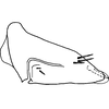 Pygofer, lateral view on Bonaspeia eriocephalus (Cogan, 1916): Pygofer, lateral view. (Observation).