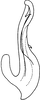 Aedeagus, lateral view on Falcitettix (Falcitettix) guttiger (Kusnezov, 1929): as Mocuellus minor. (Observation).
