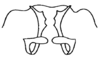 Decma (Idiodecma) birmanica (Bey-Bienko, 1971): Fig. 15. titillators, dorsal view. (Otu).