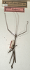 CollectionObject 1561470; NMW 676, 0a4a7981-aa0c-470b-8bf4-7dfb691b11d0: copyright NMW, Vienna. male (syntype). (CollectionObject).