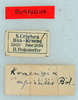 CollectionObject 1584367; feadf7d7-92ed-44dd-ba05-13469ec061a0: labels (syntype). (CollectionObject).