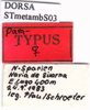 CollectionObject 1530803; 2c8745e5-a64c-4ce6-8c69-4814725eb345: labels (paratype). (CollectionObject).