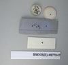 CollectionObject 1552799; NHMUK(SF IMPORT DUPLICATE) BMNH(E) 877047, 7e75bc26-572a-49ea-935a-08b91e77eeb9: Copyright NHM, London. Holotype of synonym Epilampra laticollis, data labels, reversed. (CollectionObject).