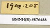 CollectionObject 1572891; cca09f2a-935f-41c8-a71b-875db0925280: Copyright Natural History Museum, London. Labels from non-type (adult male) in BM(NH). Underside. (CollectionObject).