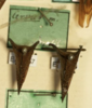 Other: !! display not done !! on Hemikyptha cervus (Germar, 1835): (Observation).