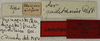 CollectionObject 1534967; 8dd7d2dd-75e0-4986-8840-160707c6e99a: labels (lectotype). (CollectionObject).