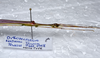 CollectionObject 1576279; 26e0c6f5-b51b-4221-ba7c-00fc76f2cb00: copyright FRCS, Sabah. male: head & thorax, lateral view (holotype). (CollectionObject).