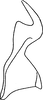 Stylus: !! display not done !! on Balclutha punctata (Fabricius, 1775): Stylus. (Observation).