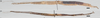 CollectionObject 1583659; 6191de66-621e-41f3-b47d-f6a653d3bafd: copyright HKES. female (holotype) top male (paratype) below. (CollectionObject).