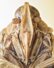 Head: !! display not done !! on Oeclidius (Oeclidius) nanus Van Duzee, 1914: (Observation).
