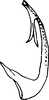 Aedeagus, lateral view on Dworakowskaia hainanensis Chou & Zhang, 1985: Aedeagus, lateral view. (Observation).