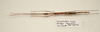 CollectionObject 1591063; 9ddd7db2-911f-4c7c-ab03-3f55866db1f8: copyright MBBJ Bogor. male, ventral view (paratype). (CollectionObject).