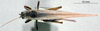 CollectionObject 1531420; NMW No. 14.072, 4567a544-6f75-410f-8f57-9a9f4dd46e50: female, dorsal view (holotype). (CollectionObject).