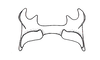 Atrachelacris unicolor Giglio-Tos, 1894: Fig. 3B. epiphallus, dorsal view. (Otu).