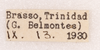 Bofana mirifica Otte & Perez-Gelabert, 2009: label (male). (Otu).