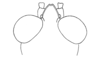 Thamnacris tuberculata Descamps & Amédégnato, 1972: Fig. 176. Male, head (dorsal view). (Otu).