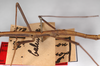 CollectionObject 1563571; 933df58e-b954-4a25-86f1-aed56a6561ba: copyright ZMHB, Berlin. male, mid thorax (syntype). (CollectionObject).