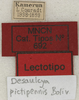 CollectionObject 1535078; c01a7bb7-e959-458c-a542-8c77e7c05b51: labels (lectotype). (CollectionObject).