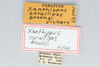 CollectionObject 2765733; 2b38097b-7dfc-4e0d-bfe5-5107b61ab12b: (CollectionObject).