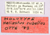 CollectionObject 1499469; afc865af-6d91-40e3-86c4-0e26787dcdd3: labels (holotype). (CollectionObject).