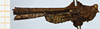CollectionObject 1506062; e4c04240-f4a1-43b0-9094-6b13c5402fc3: male, lateral view (syntype). (CollectionObject).