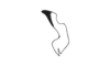 Chloropseustes leucotylus Rehn, 1918: Fig. 32E´. epiphallus, lateral view. (Otu).