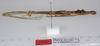 CollectionObject 1557081; ee83db3c-c298-4bfd-97a6-4bf99992b93a: copyright ZMUH, Hamburg. female, lateral view (syntype). (CollectionObject).;CollectionObject 1557082; 23000b72-56cc-4352-b179-0532f7f9af54: copyright ZMUH, Hamburg. female, lateral view (syntype). (CollectionObject).;CollectionObject 1557083; 6768d7bd-8771-437c-a457-e6fa230fbd93: copyright ZMUH, Hamburg. female, lateral view (syntype). (CollectionObject).